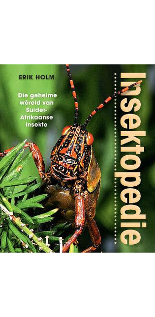 Insektopedie – Die geheime wêreld van Suider-Afrikaanse insekte