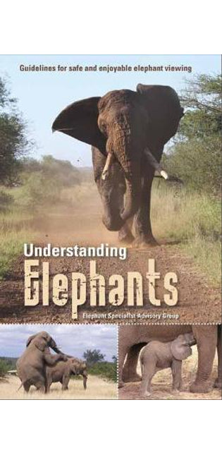 Understanding elephants