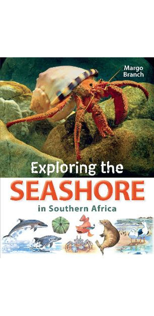 Exploring the Seashore in Southern Africa