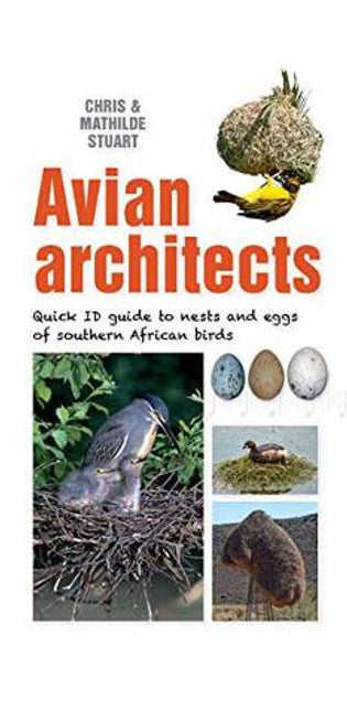 Avian Architects