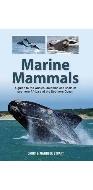 Marine Mammals