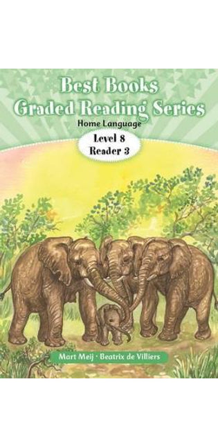 Best Books graded reader: Level 4 Book 3: Gr 2: Reader