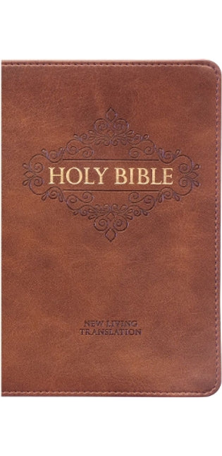 NLT Compact Bible With Zip Brown (Imitation Leather)