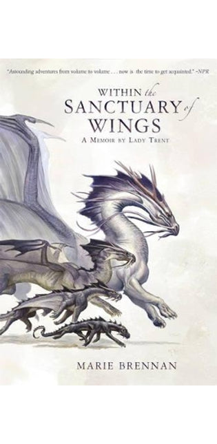 Within the Sanctuary of Wings