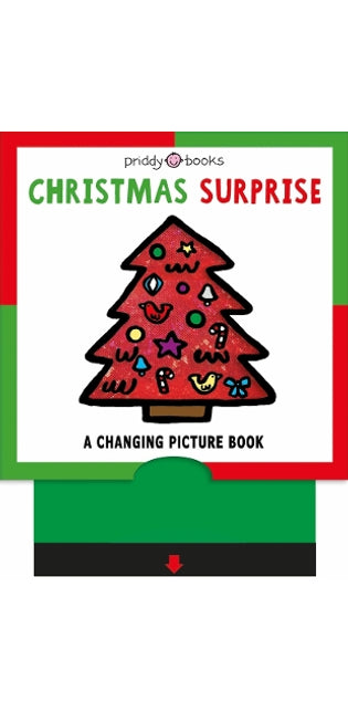 Christmas Surprise