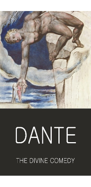 Divine Comedy