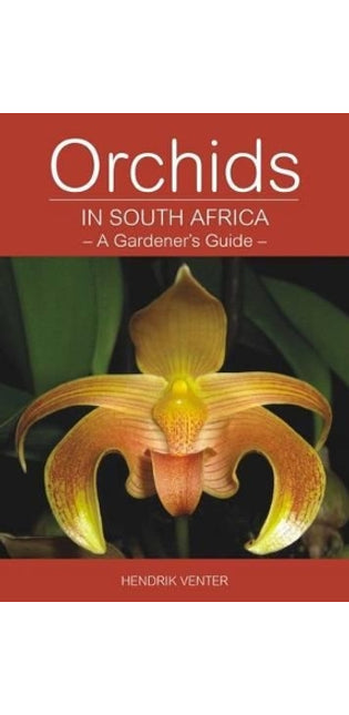 Orchids in South Africa
