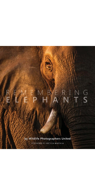 Remembering Elephants
