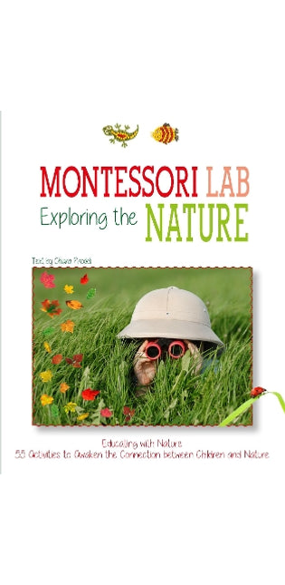 Exploring the Nature