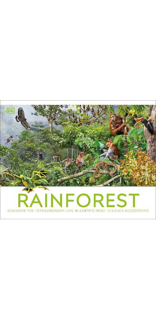 Rainforest
