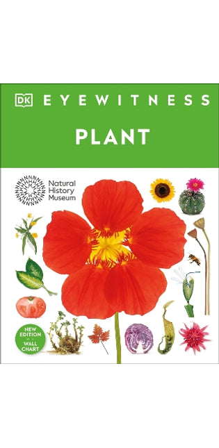 Eyewitness Plant