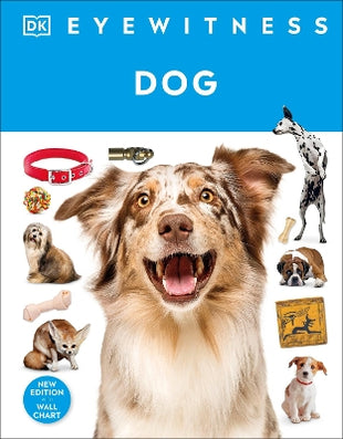 Eyewitness Dog