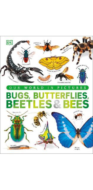 Our World in Pictures Bugs, Butterflies, Beetles and Bees