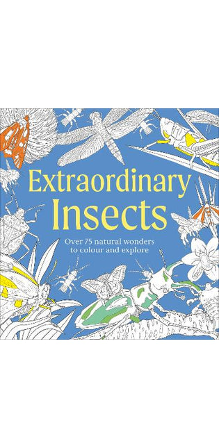 Extraordinary Insects Colouring Book