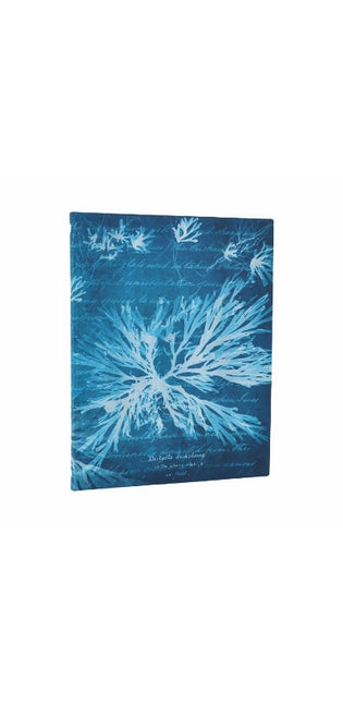 Sea Flowers (Anna Atkins’ Cyanotypes) Ultra Unlined Softcover Journal (Elastic Band Closure)