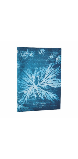 Sea Flowers (Anna Atkins’ Cyanotypes) Midi Lined Softcover Journal (Elastic Band Closure)