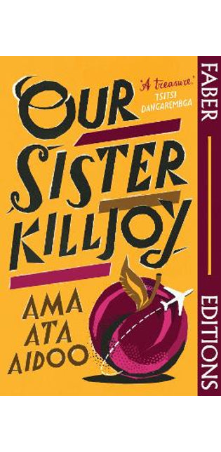 Our Sister Killjoy (Faber Editions)