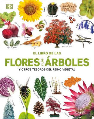 El Libro de las flores y los arboles (Our World in Pictures: Trees, Leaves, Flowers & Seeds)
