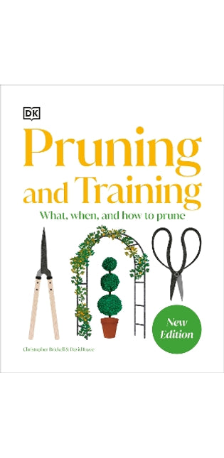 Pruning and Training