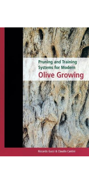 Pruning and Training Systems for Modern Olive Growing