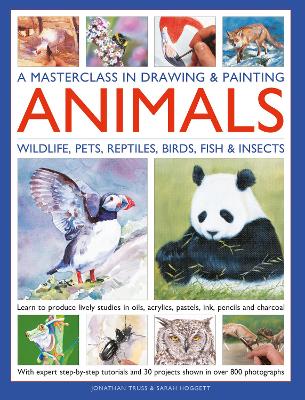 Masterclass in Drawing & Painting Animals (Wildlife, Pets, Reptiles, Birds, Fish & Insects)