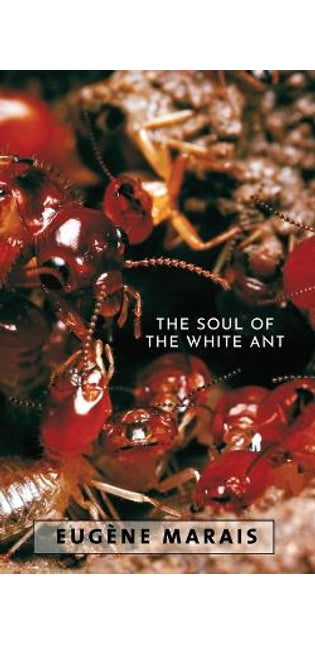 Soul of the White Ant