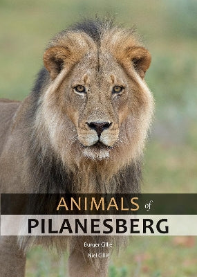 Animals of Pilanesberg