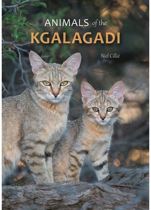 Animals of the Kgalagadi