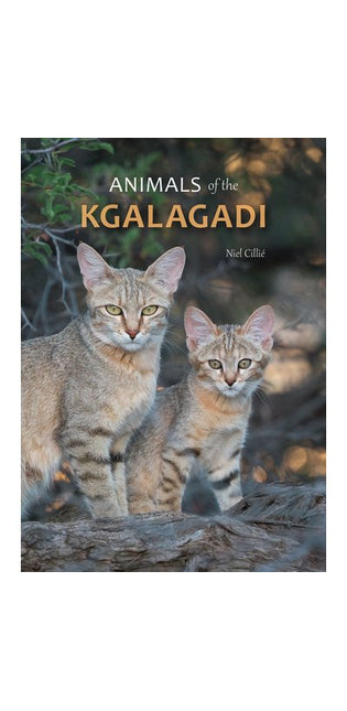Animals of the Kgalagadi