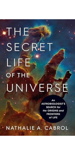 Secret Life of the Universe