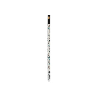 Vault of the Milan Cathedral (Duomo di Milano) Pencil