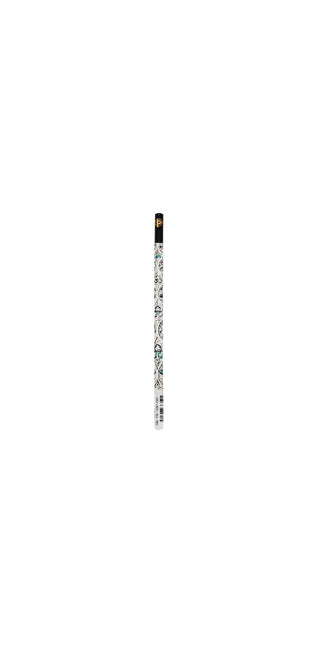 Vault of the Milan Cathedral (Duomo di Milano) Pencil