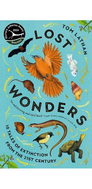 Lost Wonders