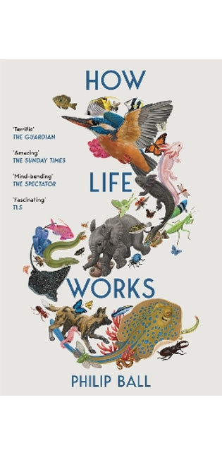 How Life Works