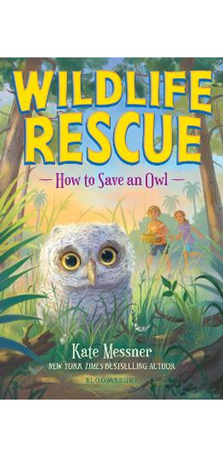 How to Save an Owl