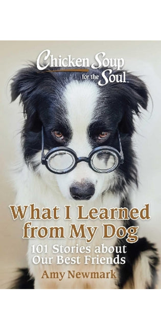 Chicken Soup for the Soul: What I Learned from My Dog