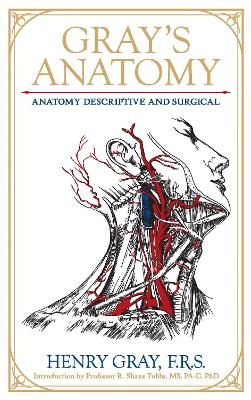 Gray's Anatomy – Exclusive Books Online
