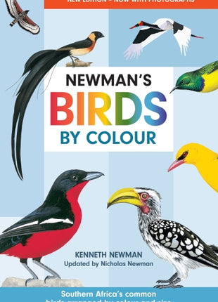 Newman's Birds by Colour