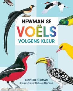 Afrik Christmas Nature