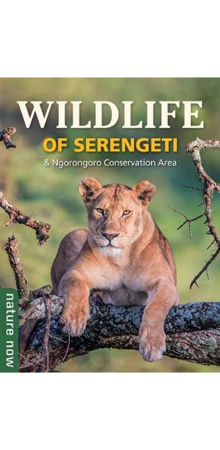Wildlife of Serengeti & Ngorongoro Conservation Area