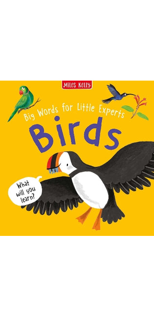Birds