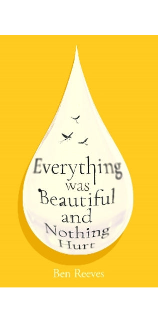 Everything was Beautiful and Nothing Hurt