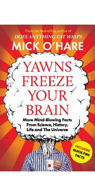Yawns Freeze Your Brain