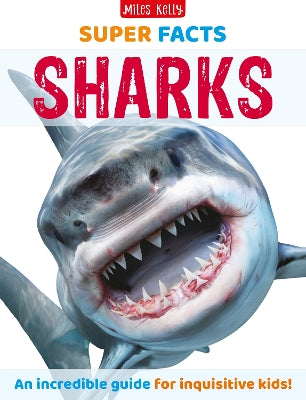 Super Facts Sharks