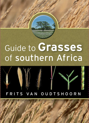 Guide to Grasses of Southern Africa