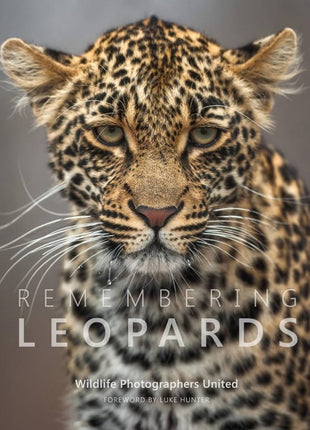 Remembering Leopards