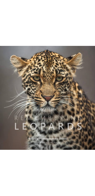 Remembering Leopards