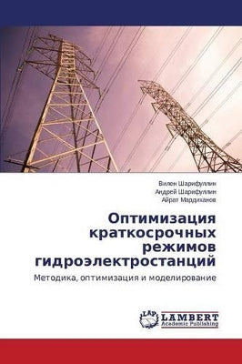 Оптимизация краткосрочных режимов гидро