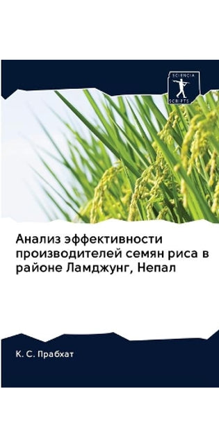 Анализ эффективности производителей сем