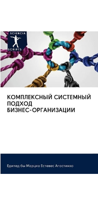 КОМПЛЕКСНЫЙ СИСТЕМНЫЙ ПОДХОД БИЗНЕС-ОРГА
